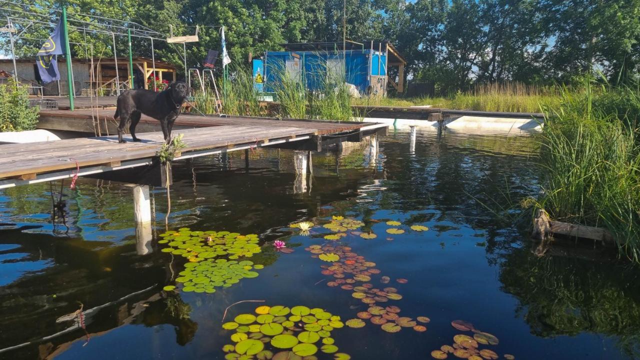 Dalnic My Lake Glamping מראה חיצוני תמונה