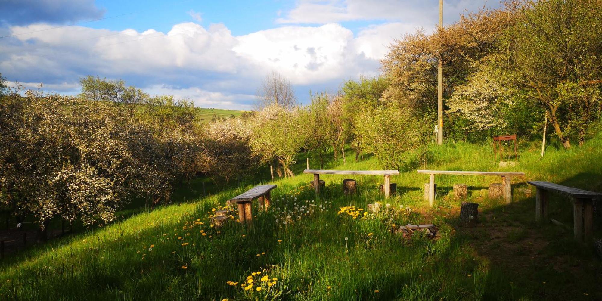 Dalnic My Lake Glamping מראה חיצוני תמונה