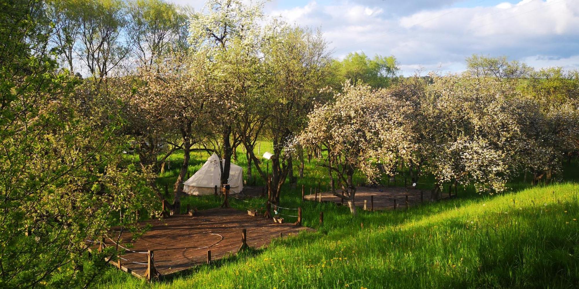 Dalnic My Lake Glamping מראה חיצוני תמונה